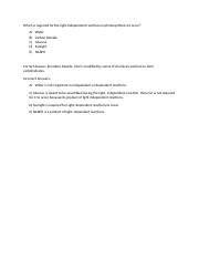 Practice Question Unit 4.docx