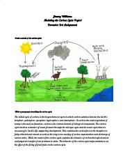 _Modeling the Carbon Cycle Project-Jimmy Williams (1).pdf