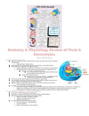 Exam 2 - Fluids & Electrolytes