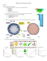IB Biology II Midterm Study Guide.docx.pdf