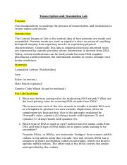 Transcription and Translation Lab(2).docx