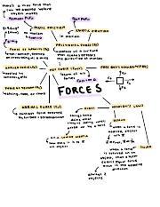 Forces Notes.pdf