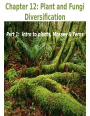 Chapter 12 Part 1 Intro to Plants Mosses & Ferns.pptx