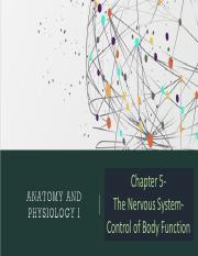 Chapter 5- Nervous System- Lecture 1.pdf