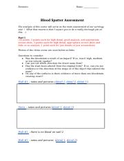 Copy_of_Copy_of_Blood_Spatter_Assessment_2021