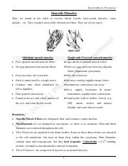 3-Smooth Muscles.pdf