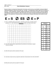 5-Worksheet 8 Enzymes Kinetics.pdf