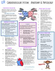 Cardiovascular Issues in the Older Adult Study Guide