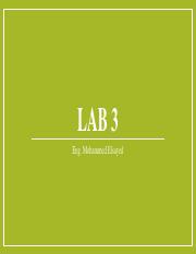 Lab 3.pdf