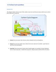 4.3 Carbon_cycle_questions.docx