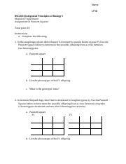 Module07_Assignment01_Punnett_Square (1).pdf