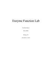 Lab Report 6 Final.pdf