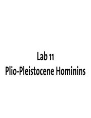 Lab_11_Plio_Pleistocene_2L03.pdf