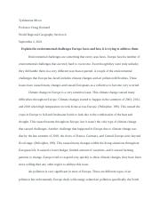 chapter 4 essay.docx