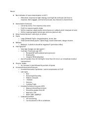 Neuro Exam 4.docx.pdf