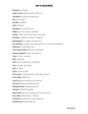 UNIT 6 vocabulary .pdf