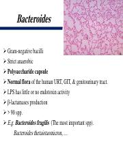 Bacteroides.pdf
