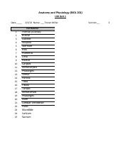 Copy of Full Skeleton Answer Sheet (Student) (2).pdf