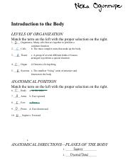 A&P Study Guides CH. 1-3.pdf