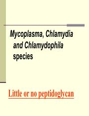 13. chlamydia.pdf