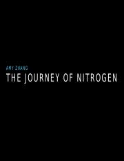 nitrogen cycle power point