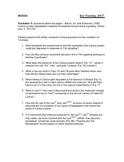 Rec5-questions on Cactus paper