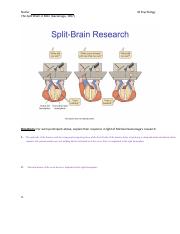 Kami Export -10-25 - Split Brain Practice.docx.pdf