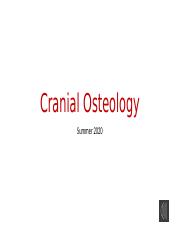 Cranial Osteology_2020Summer.pptx