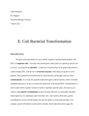 E. Coli Bacterial Tranformation