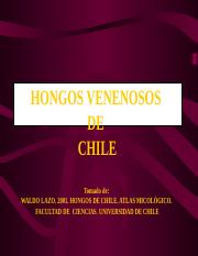 HONGOS VENENOSOS DE CHILE.ppt