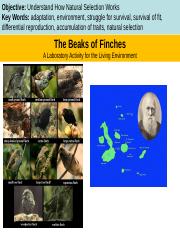 the beak of the finch pdf download