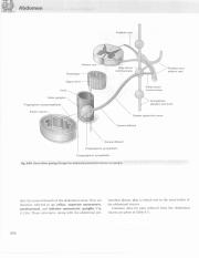 格氏解剖学  教学版  第2版  英文版  影印版_400.pdf