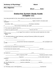 Endocrine System Study Guide.doc