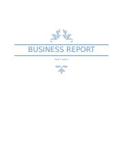 Business Report_Final.docx