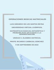 TAREA OPERACIONES BASICAS MATRICIALES.pdf