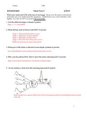 exam 3-2 key.pdf