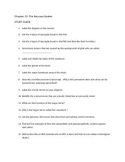 Chapter 19-Nervous System Study Guide.docx