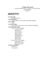 Lab Practical 2 Study Guide Appendicular Skeleton and Articulations (1).pdf