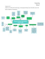 COLL178 concept Map.docx