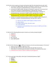 Answers copy 2.pdf
