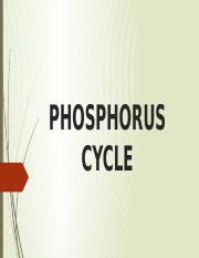 PHOSPHORUS CYCLE.pptx