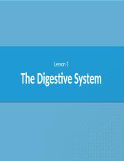 CA_Lesson_1_Annotated_Digestive_System.pptx