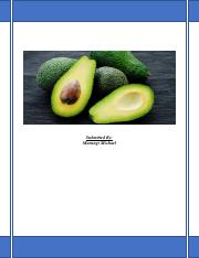 business plan avocado farm