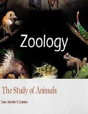 Overview of Zoology.pdf