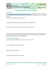 2Bacterial-Identification-Lab-Worksheet-Student.pdf