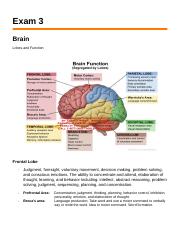Exam 3 Neuro Study Guide.docx
