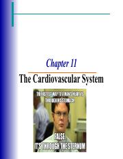 Notes 1. Cardiovascular-circulation.pdf