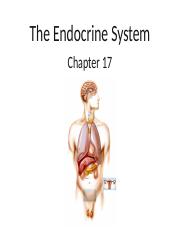 8 The Endocrine System.ppt