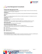 Risk Management Plan template.docx