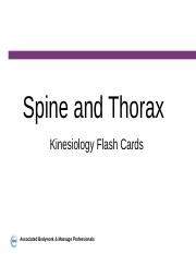 spine_thorax_flash_cards.pptx